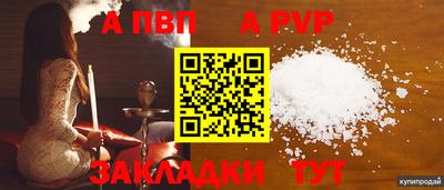 стаф Сланцы