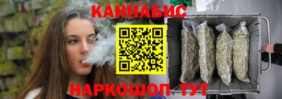 стаф Сланцы