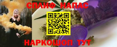 стаф Сланцы