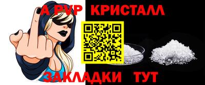стаф Сланцы