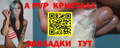 стаф Сланцы
