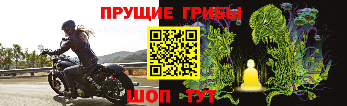 Псилоцибиновые грибы Cubensis  Вход с VPN  Наро-Фоминск  Псилоцибиновые грибы MAGIC MUSHROOMS 